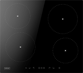 Induktionsfeld Reparatur Freital